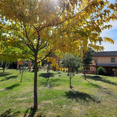 Campogialli Sassomatto B&B Bioagriturelax מראה חיצוני תמונה