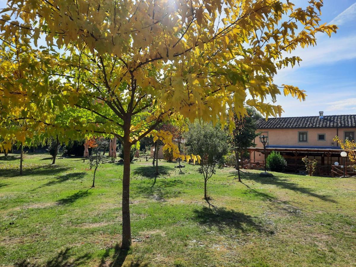 Campogialli Sassomatto B&B Bioagriturelax מראה חיצוני תמונה