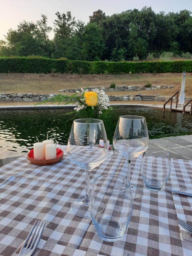 Campogialli Sassomatto B&B Bioagriturelax מראה חיצוני תמונה