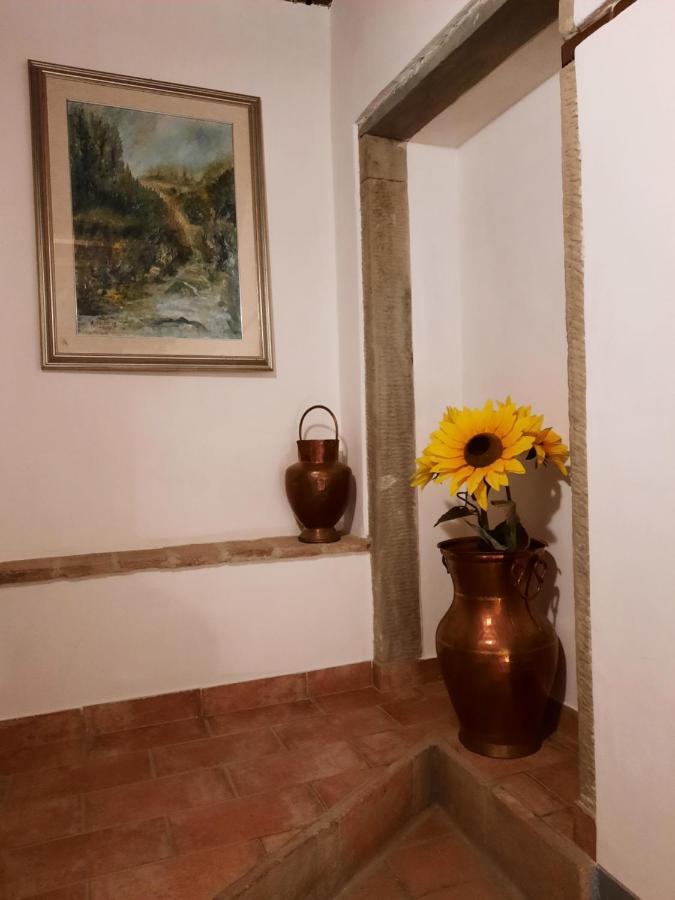 Campogialli Sassomatto B&B Bioagriturelax מראה חיצוני תמונה