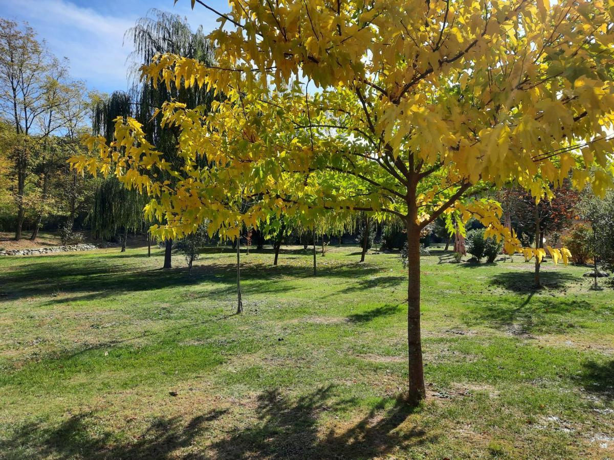Campogialli Sassomatto B&B Bioagriturelax מראה חיצוני תמונה